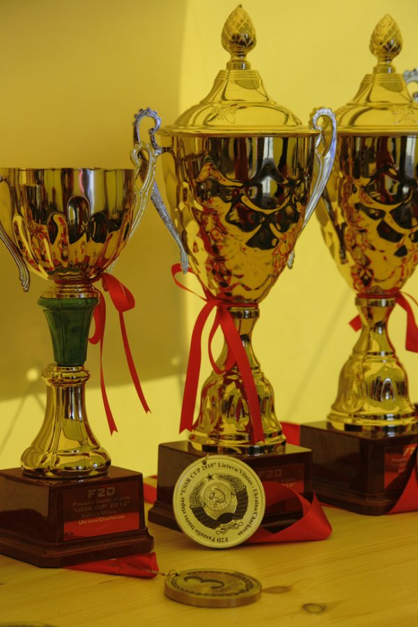 USSR_CUP_2010_Ann_Zinovieva_183.JPG