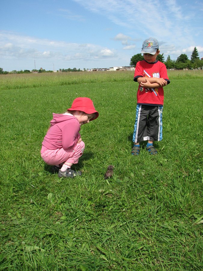 2010_0626_02.jpg