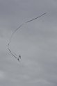 2012_0609_007