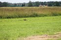 IMG_3225