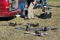 IMG_7742