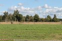 IMG_7996