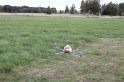 IMG_8101