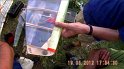 2012_0519_28